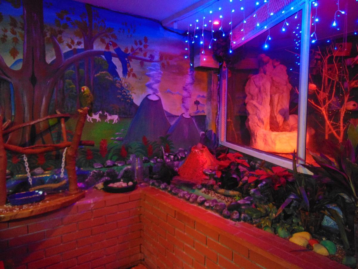 Casa Lima B&B San Jose  Eksteriør bilde